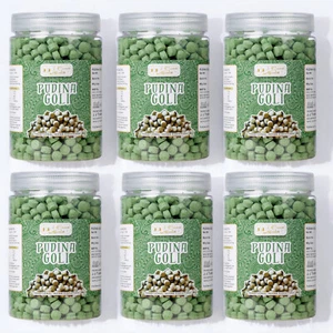 Digestive (Pudina Goli) Mint leaves Pills for improved digestion combo pack - Picture 1 of 30