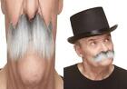 Mustaches Fake Mustache, Self Adhesive, Novelty, Rocking Gray With White