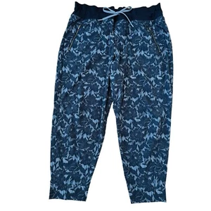 Pantalones al Tobillo Athleta Trekkie North Jogger Azul Talla 20 Bolsillos con Cremallera Senderismo Nylon NUEVO - Imagen 1 de 10