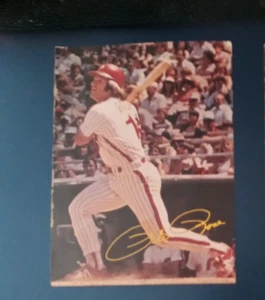 1983 Pete Rose Card Price Guide Bonus Card excellent condition - Picture 1 of 2