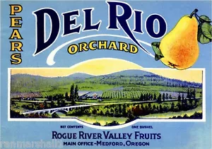 Medford Oregon Rogue River Valley Del Rio Birne Obstkiste Etikett Kunstdruck - Bild 1 von 1