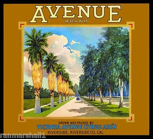 Riverside Magnolia Avenue Orange Zitrus Obstkiste Etikett Vintage Kunstdruck - Bild 1 von 1