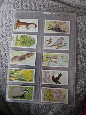 VINTAGE Full Set Of 'A JOURNEY DOWNSTREAM' 25 LOOSE CARDS BROOKE BOND TEA CARDS - Image 1 of 4