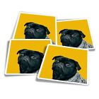 4x Square Stickers 10 cm - Black Pug Dog with Grey Scarf  #44326
