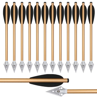 Pernos de ballesta de aluminio de 6,3" flechas atornillables cabeza ancha caza objetivo de precisión Foto 1 de 4