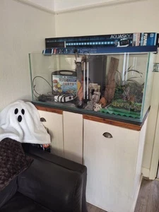 48Lx24Dx22w Fish Tank - Picture 1 of 4
