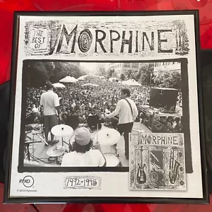 MORPHINE CURE FOR PAIN - RARE LP OFFICIAL PROMO POSTER - FRAMED/UNFRAMED - Bild 1 von 4
