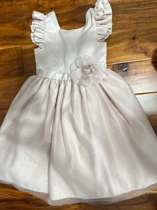 Girls Formal Between Light Pink Fancy Dress Rose Flower Wedding Party Size 6 - Picture 1 of 4