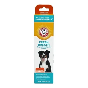 Arm & Hammer Tartar Control Enzymatic Toothpaste for Dogs Beef Flavour - 67.5 g - Picture 1 of 3