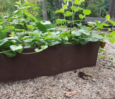 ISS-KOHLI Rasenkante Rasenkantenband Corten Edel-Rost Metall Beeteinfassung Beetumrandung