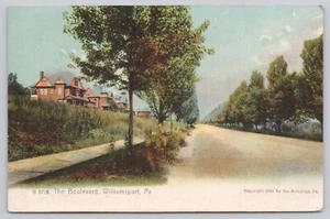 The Boulevard Williamsport Pennsylvania PA Undivided Back Postcard c1906 - Picture 1 of 2