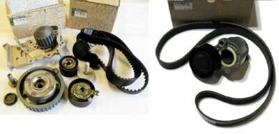RENAULT (PIÈCE D'ORIGINE AUTHENTIQUE) POULIE DEPHASEUR & KIT DISTRIBUTION & ACCESSOIRES RENAULT 1.6 16V K4M (KIT OE)