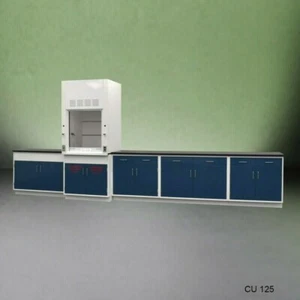 3' Fisher American Fume Hood / Flammable &14' Laboratory Cabinet Group / E2-242 - Picture 1 of 8