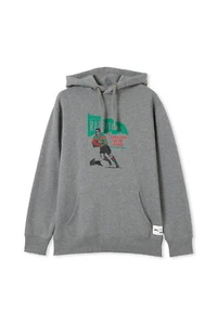 South Sydney Rabbitohs NRL 2023 Adults Fleece Hoody Grey M-4XL! - Picture 1 of 4