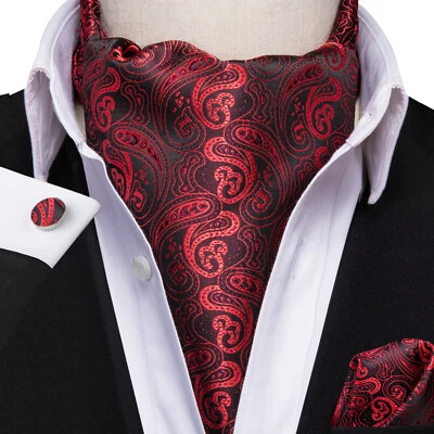 Conjunto de gemelos formales azul púrpura rojo cachemira floral Ascot para hombre corbata pañuelo Foto 1 de 2