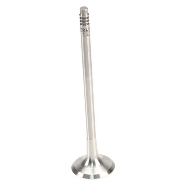 For BMW X5 2011-2018 TRW W0133-1955865-TRW Exhaust Valve — 第 1/1 张图片