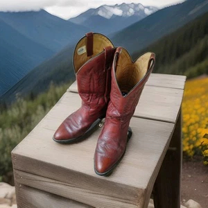 Vintage Mason Chippewa Falls Brown Leather Cowboy Western Boots Shoes Mens 10.5E - Picture 1 of 6