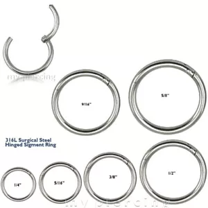 2 Stück 14G 1/4"- 5/8" aufklappbarer Segmentring Chirurgenstahl Hoop Knorpel Septum Ring - Bild 1 von 3