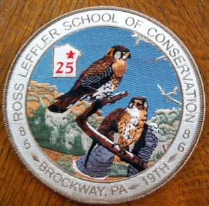 RLSC SERIE 4" 1985-1986 19. STUDENT KLASSE KESTRLES PATCH #321 VON 500 - Bild 1 von 2