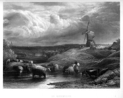Windmuehle Und Viehherde Am Fluss Größerer Original-Stahlstich Von Ca. 1850 • 8.50€