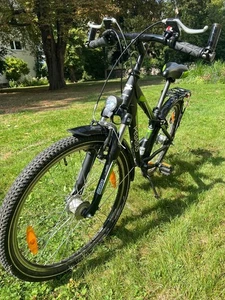 Pegasus Avanti Jungenfahrrad Dirt ATB 24 Zoll 32 Cm 7 Gang Nabelschaltung - Bild 1 von 7