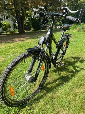 Pegasus Avanti Jungenfahrrad Dirt ATB 24 Zoll 32 Cm 7 Gang Nabelschaltung - Bild 1 von 4