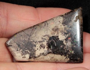 Precious Stable Opalized Wood Cabochon from Virgin Valley Nevada - 32.1 ct Opal - Picture 1 of 6