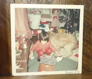 FOTO VINTAGE TROVATA - Frenetica mattina di Natale - cane sullo sfondo - Foto 1 di 1