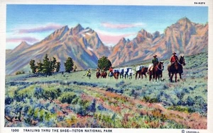 Postal de Trailing Thru the Sage Teton National Park Wyoming - Imagen 1 de 2