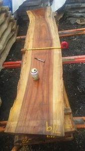 EXOTIC HAWAIIAN MONKEYPOD NATURAL EDGE BENCH SLAB COFFEE SOFA TABLE FURNITURE - Picture 1 of 8