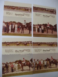 4-Winners Circle Photos Calder Race Track 1981- Glory Strings (3), Spanish Drums - Picture 1 of 10