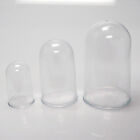 Clear Plastic Dome Case Display Centerpiece 3.75