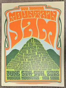 MOUNTAIN JAM LESH GOV"T MULE WIDESPREAD PANIC AVETT 2013 POSTER ORIG SILKSCREEN - Picture 1 of 3
