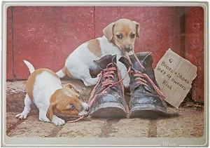Kitchy & Co Old Boots Jack Russell - Trivets Chopping Board various sizes - Picture 1 of 1