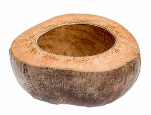 NaDeco Kokosschale halbiert im Querschnitt | Deko Kokosnuss | Kokosnussschale - Bild 1 von 1