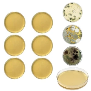 For Mold Test Kit for Home Use with Easy Instructions and Fast Results - Picture 1 of 12