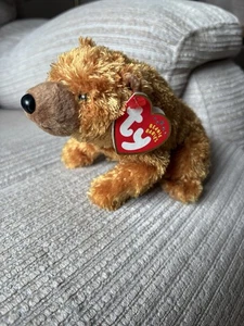 TY Beanie Baby Sequoia - Bear In Excellent Condition - 2001 - Picture 1 of 11