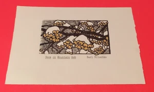 9" x 6" de nieve en ceniza de montaña - impresión de tinta Earl Nitschke - Imagen 1 de 2
