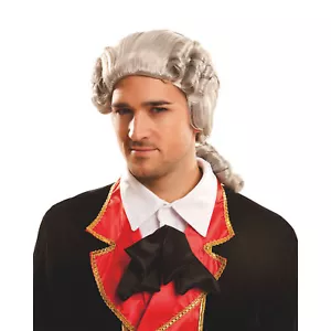 Lord Gründervater George Washington Richter Erwachsene Perücke grau - Bild 1 von 2