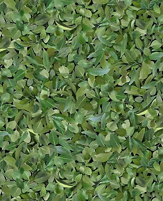 Fabric Leaves Real Green Foliage TIMELESS TREASURES Cotton 1/4 Yard 7573