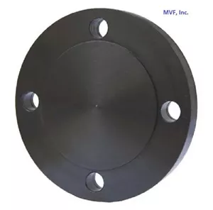 Brida ciega 3" 150 cara elevada A105 acero al carbono tubería ASME B16.5 F611110 - Imagen 1 de 2