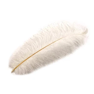 White Ostrich Plume Feather Pirate/Steampunk/Fancy Victorian Hat Feathers Plumes - Picture 1 of 2
