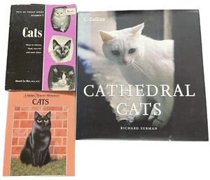 Paquete 3 x LIBROS de animales gatito gato - gatos catedral, etc. - Imagen 1 de 2