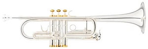 Versilberte C-Trompete mit Mundrohr und Schallstück aus Goldmessing inkl. Koffer - Bild 1 von 5