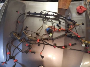 BMW E46 2001-2003 OEM M54 Engine Wiring Harness Complete Intact Labeled 7513554 - Bild 1 von 8