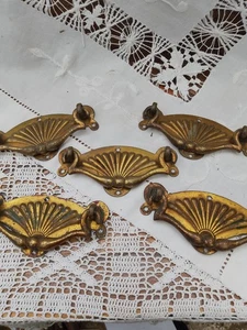 Set 5 Antique Art Nouveau Brass Drawer Handles Pulls Shell Design Circa 1900 - Picture 1 of 7
