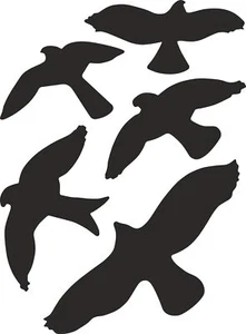 Aufkleber Kontur Vogel-Sortiment 5 Stück  Sticker Tattoo Auto - Bild 1 von 1