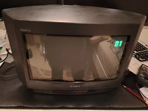 Sony KV-16WT1 Analog TV Trinitron Color Farbe Retro Gaming Monitor Widescreen 16 - Bild 1 von 7