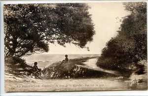 CP 85 Vendée - Noirmoutier - Le Bois de la Blanche - Vue sur la mer - Picture 1 of 2