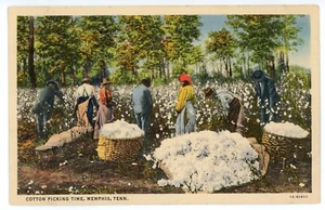 Escogida de postales vintage de algodón Memphis Tennessee lino Curt Teich sin publicar - Imagen 1 de 2